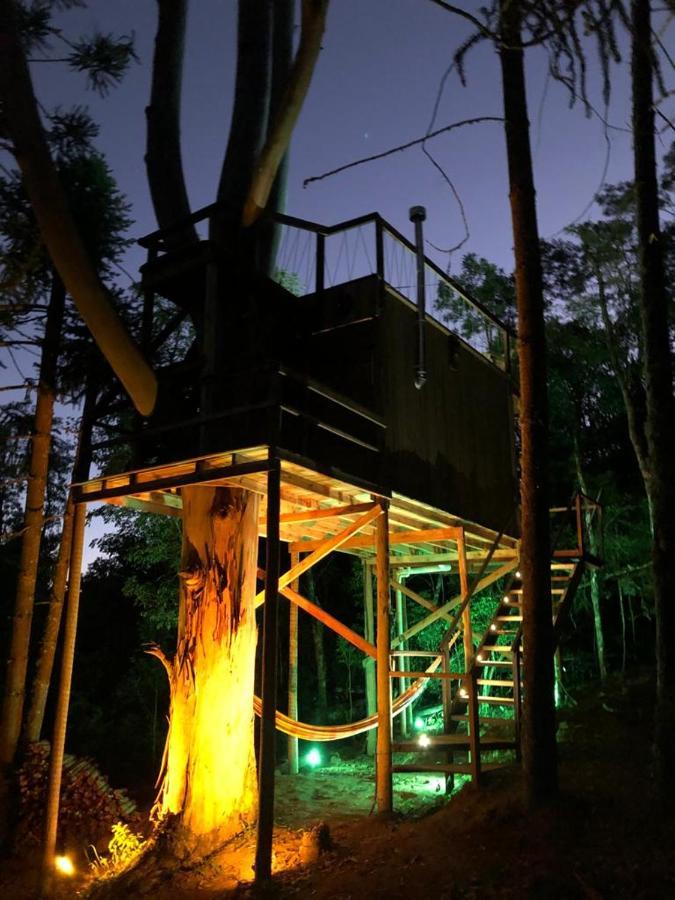 Cabana Da Arvore - Forestplace Monte Verde  Exteriör bild